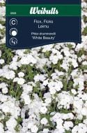 6808_flox_white_beauty_web.jpg