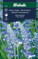 7208_salvia_dagg_fairy_queen_framsida_web.jpg