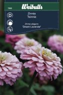 7502_zinnia.jpg