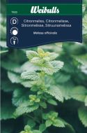 7633_citronmeliss_framsida_web.jpg