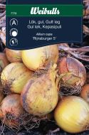 7778_lok_gul_rijnsburger5_web.jpg
