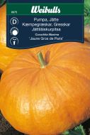 8075_pumpa_Jaune_Gros_de_Paris.jpg