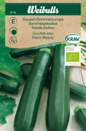 8114_squash_black_beauty_web.jpg