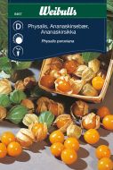 8467_physalis_220217_framsida_web.jpg