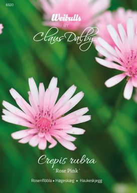 Weibulls Rosenfibbla 'Rose Pink'