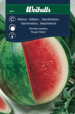 Weibulls Melon, vatten- 'Sugar Baby'