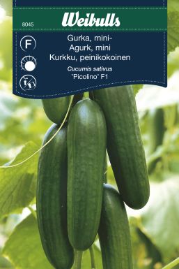 Weibulls Gurka, mini- 'Picolino' F1