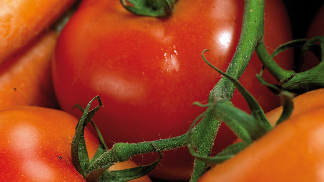 Grön tomatmarmelad