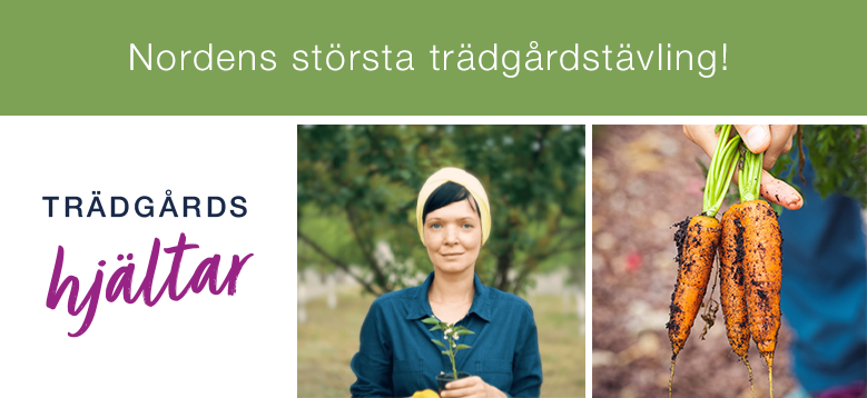 tradgardshjaltar